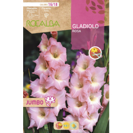 S.BOLBO RO.GAVETA GALADIOLO JUMBO ROSA -BUGJ2215