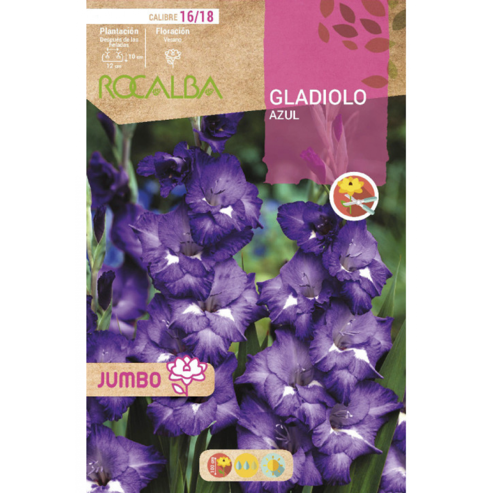 S.BOLBO RO.GAVETA GALADIOLO JUMBO AZUL -BUGJ2220