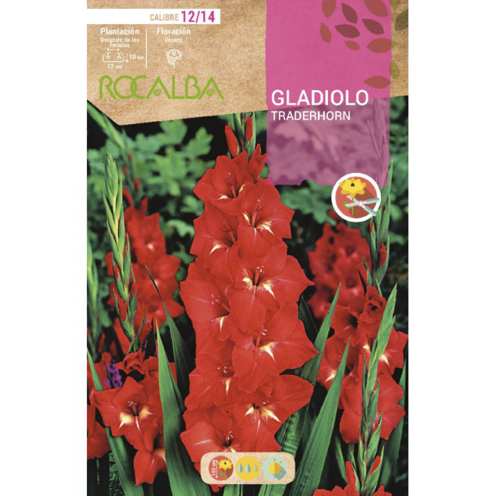 S.BOLBO RO.GAVETA GALADIOLO TRADERHORN - BUGL2005