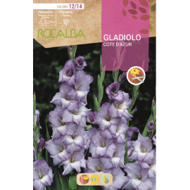 S.BOLBO RO.GAVETA GALADIOLO COTE D'AZUR - BUGL2025