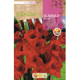 S.BOLBO RO.GAVETA GALADIOLO OSCAR ROJO ESCURO - BUGL2045