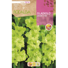 S.BOLBO RO.GAVETA GALADIOLO GREEN STAR - BUGL2055