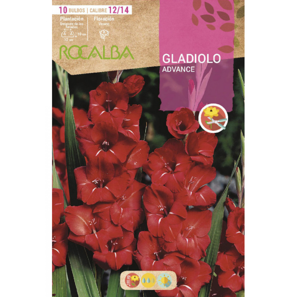S.BOLBO RO.GAVETA GALADIOLO ADVANCE ROJO - BUGL2065