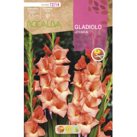 S.BOLBO RO.GAVETA GALADIOLO JESSICA -BUGL2080