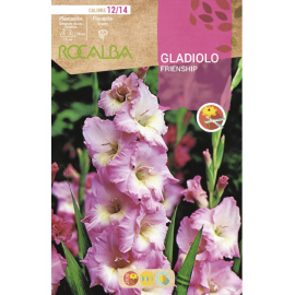 S.BOLBO RO.GAVETA GALADIOLO FRIENDSHIP ROSA - BUGL2095