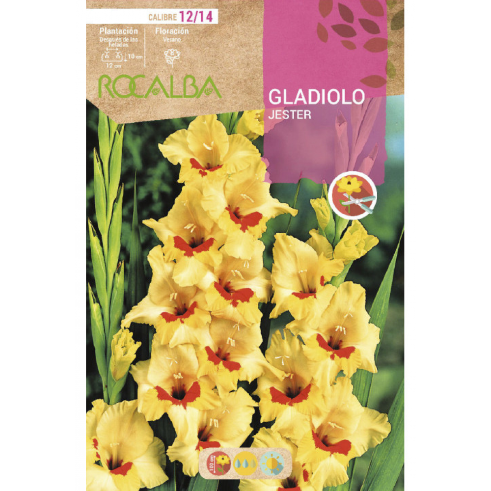 S.BOLBO RO.GAVETA GALADIOLO JESTER AMARELO -BUGL2100