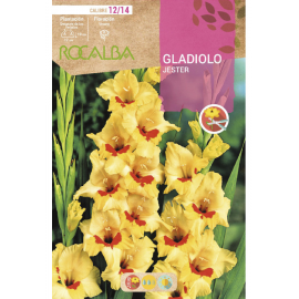 S.BOLBO RO.GAVETA GALADIOLO JESTER AMARELO -BUGL2100