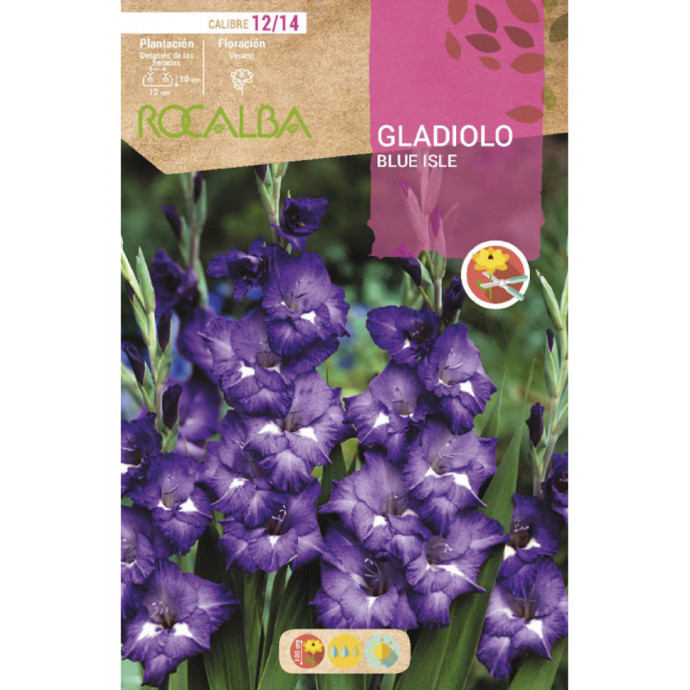 S.BOLBO RO.GAVETA GALADIOLO BLUE ISLE - BUGL2105
