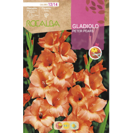 S.BOLBO RO.GAVETA GALADIOLO PETER PEARS - BUGL2110