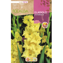 S.BOLBO RO.GAVETA GALADIOLO JESTERGOLD - BUGL2120