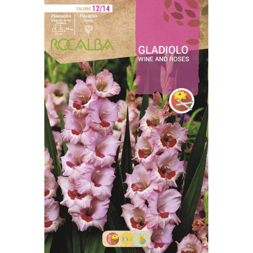 S.BOLBO RO.GAVETA GALADIOLO WINE AND ROSES - BUGL2140