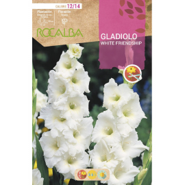 S.BOLBO RO.GAVETA GALADIOLO WHITE FRIENDSHIP - BUGL2150