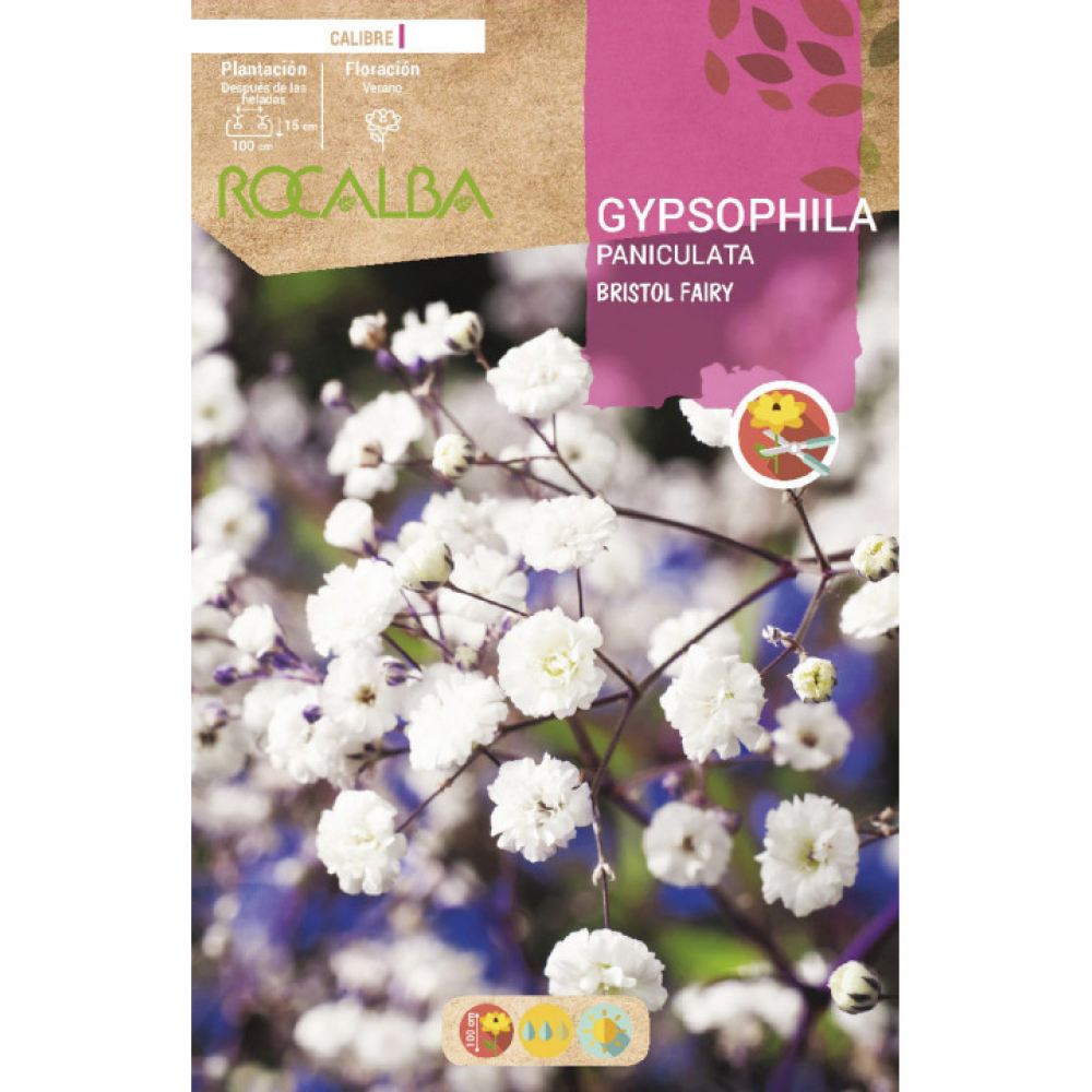 S.BOLBO RO.GAVETA GYPSOPHILA PANICULATA - BRANCO BUGY3275
