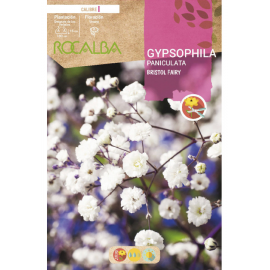 S.BOLBO RO.GAVETA GYPSOPHILA PANICULATA - BRANCO BUGY3275