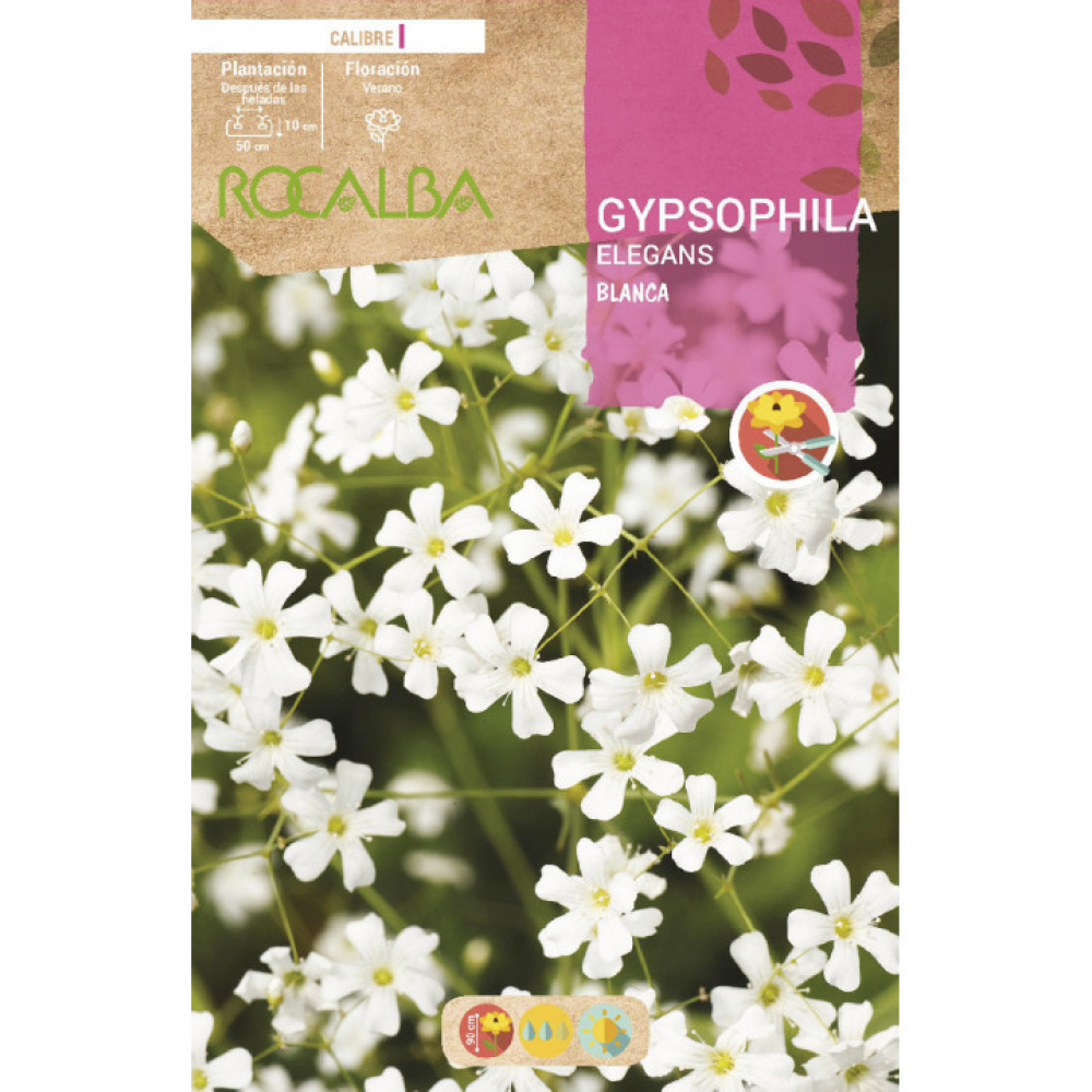 S.BOLBO RO.GAVETA GYPSOPHILA ELEGANS - BRANCO BUGY3280