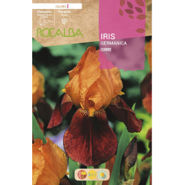 S.BOLBO RO.GAVETA IRIS GERMANICA - COBRE BUIG3150