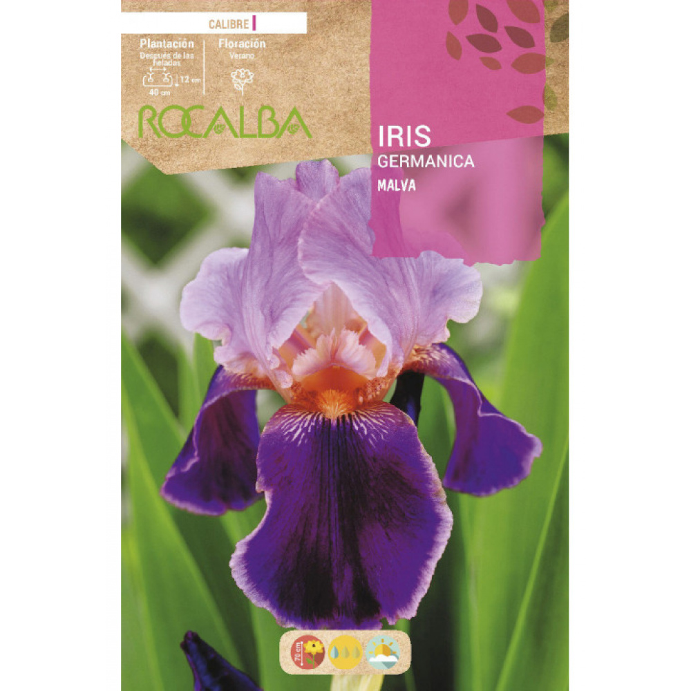 S.BOLBO RO.GAVETA IRIS GERMANICA - MALVA BUIG3160