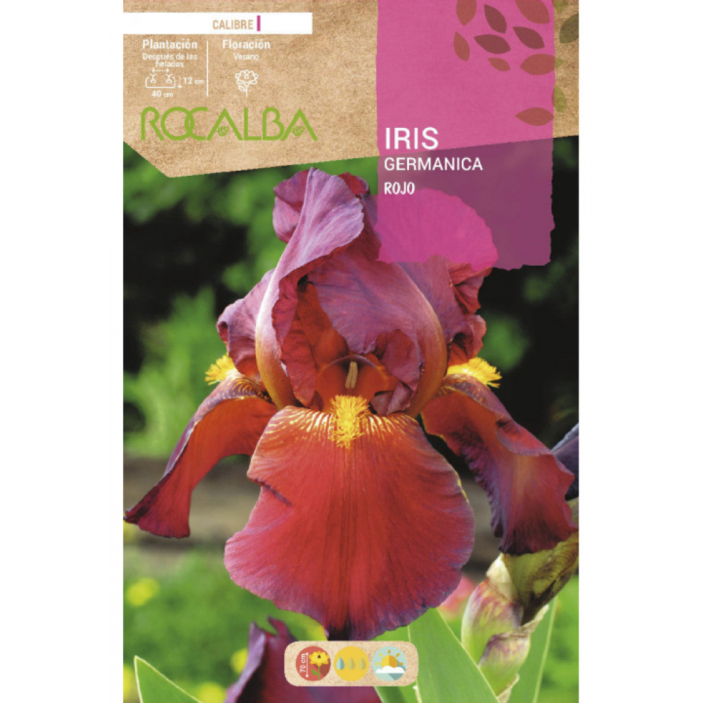 S.BOLBO RO.GAVETA IRIS GERMANICA - ROJO BUIG3165