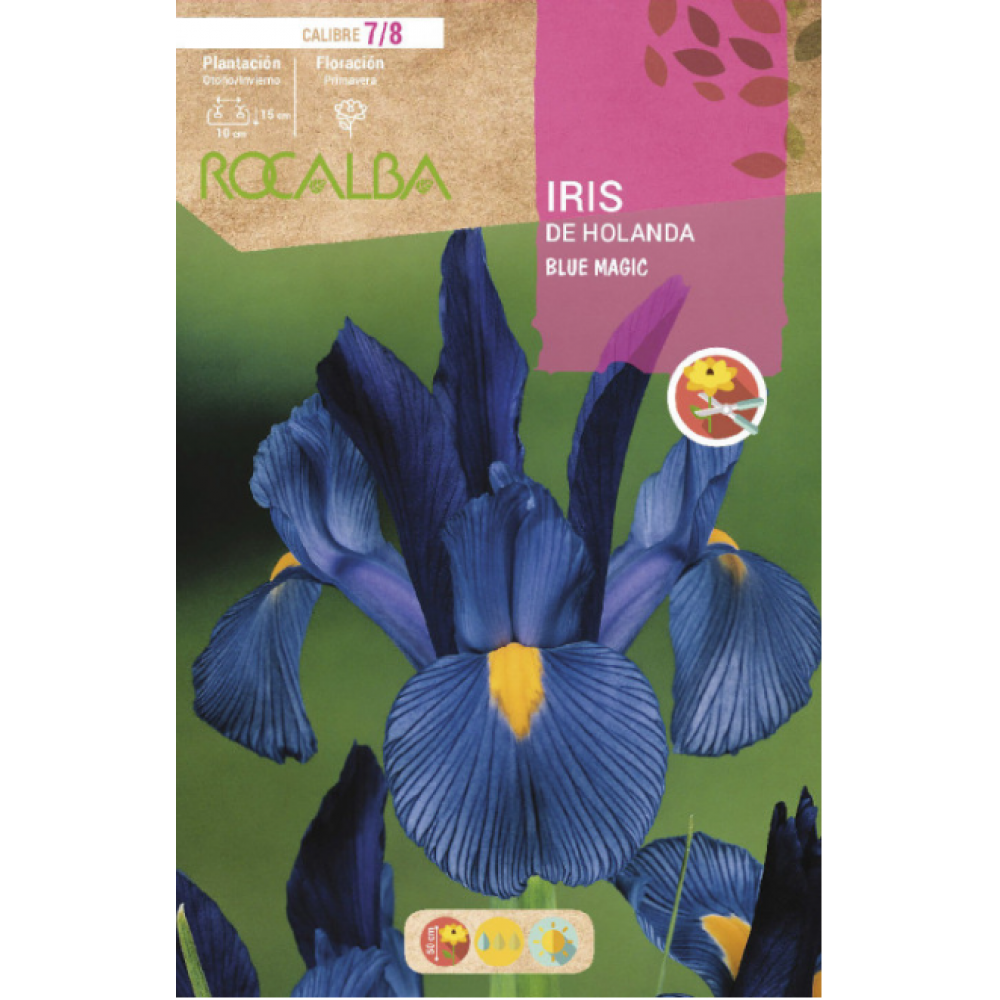 S.BOLBO RO.GAVETA 150 IRIS DA HOLANDA  MISTURA CORES-BUIR1375