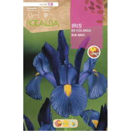 S.BOLBO RO.GAVETA 150 IRIS DA HOLANDA  MISTURA CORES-BUIR1375