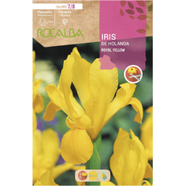 S.BOLBO RO.GAVETA 150 IRIS DA HOLANDA ROYAL YELLOW-BUIR1365