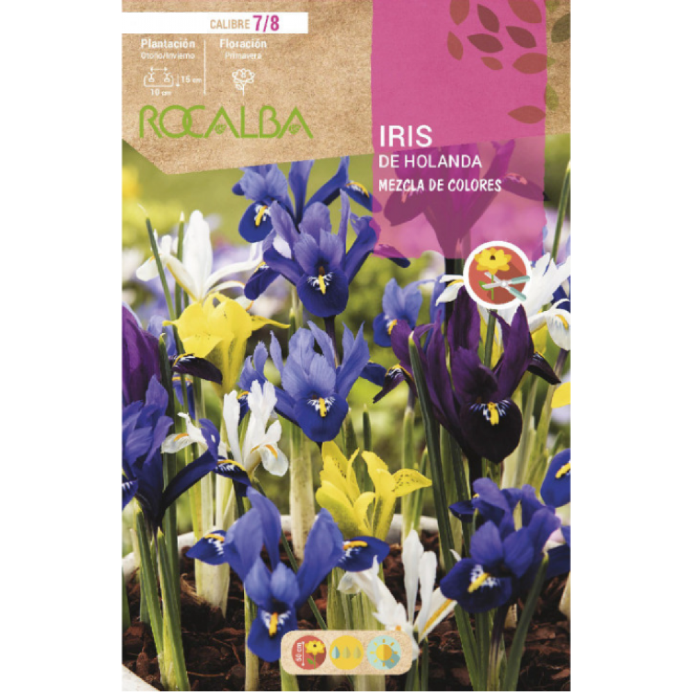 S.BOLBO RO.GAVETA 150 IRIS DA HOLANDA  MISTURA CORES-BUIR1375