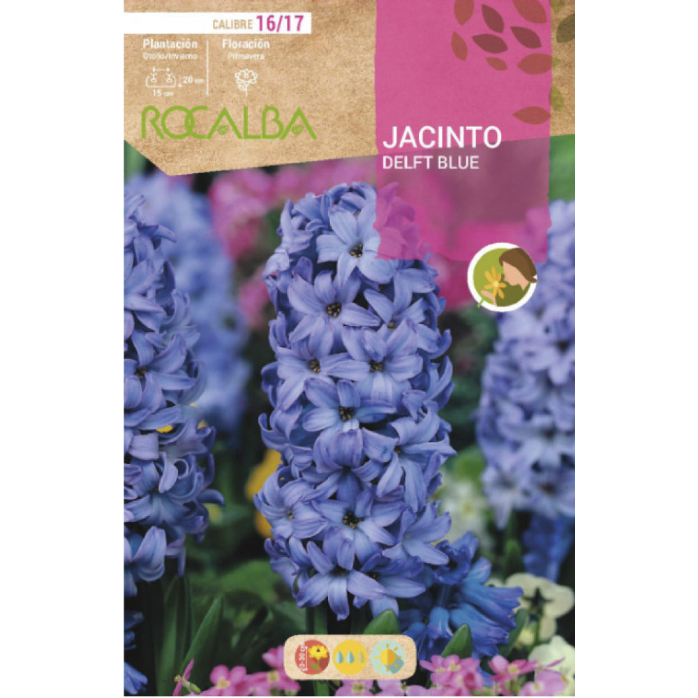 S.BOLBO RO.GAVETA 50 JACINTOS DELF BLUE AZUL INTENSO -BUJN0605