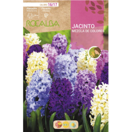 S.BOLBO RO.GAVETA 50 JACINTOS MISTURA DE CORES-BUJN0615