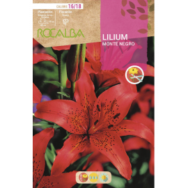 S.BOLBO RO.GAVETA LILIUS MONTE NEGRO -BULI2605