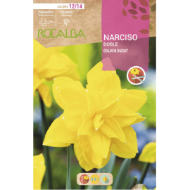 S.BOLBO RO.GAVETA 60 NARCISOS DOBRADO DOBLE G.DUCAT -BUND0710