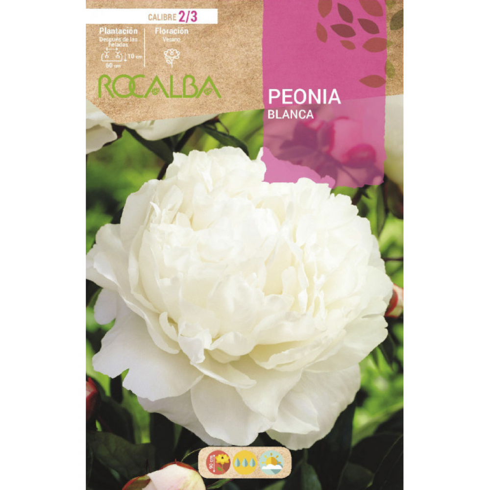 S.BOLBO RO.GAVETA PEONIAS - BRANCO BUPN3115
