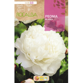 S.BOLBO RO.GAVETA PEONIAS - BRANCO BUPN3115
