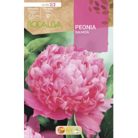 S.BOLBO RO.GAVETA PEONIAS - SALMAO BUPN3120