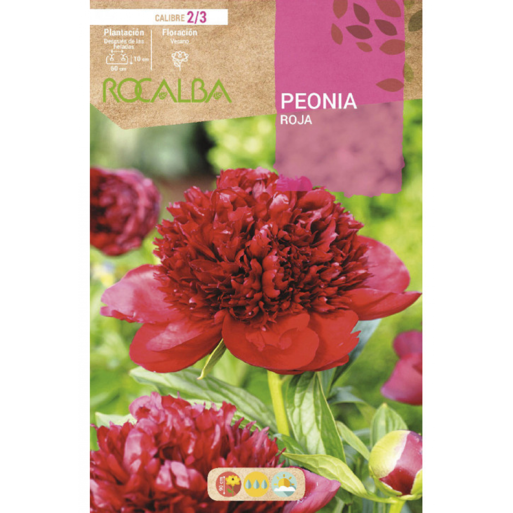 S.BOLBO RO.GAVETA PEONIAS - ROJO BUPN3125