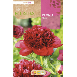 S.BOLBO RO.GAVETA PEONIAS - ROJO BUPN3125