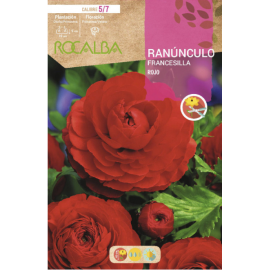 S.BOLBO RO.GAVETA 200 RANUNCULO FRANCESILLA VERMELHO-BURF1225