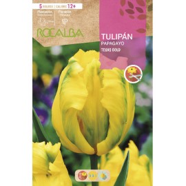 S.BOLBO RO.GAVETA 100 TULIPAS PAPAGIO TEXAS GOLD-BUTG0460