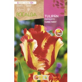 S.BOLBO RO.GAVETA 100 TULIPAS PAPAGAIO SFLAMING PARRO-BUTG0470T