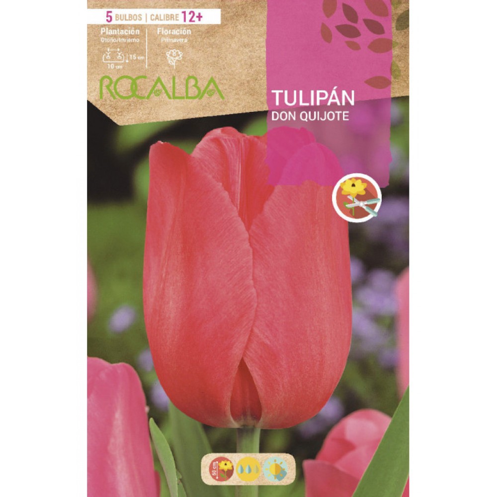 S.BOLBO RO.GAVETA 100 TULIPA DON QUIJOTE ROSA-BUTN0130   <br><br>-BUTN0205