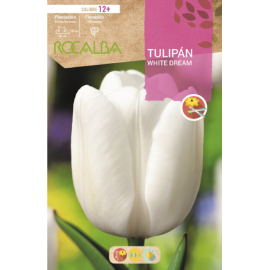 S.BOLBO RO.GAVETA 100 TULIPA WHITE DREM-BUTN0155