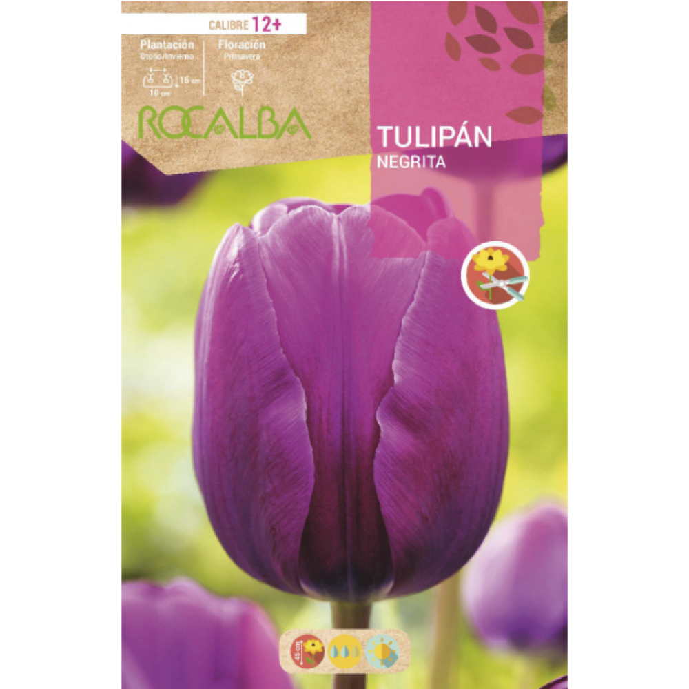 S.BOLBO RO.GAVETA 100 TULIPA NEGRITA-BUTN0165