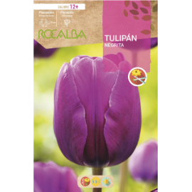 S.BOLBO RO.GAVETA 100 TULIPA NEGRITA-BUTN0165