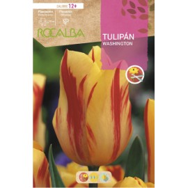 S.BOLBO RO.GAVETA 100 TULIPA WASHINGTON-BUTN0170