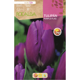 S.BOLBO RO.GAVETA 100 TULIPA PURPLE FLAG-BUTN0215