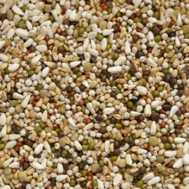 BEYERS POMBOS WAL ZOONTJENS MIUDA - 25KG