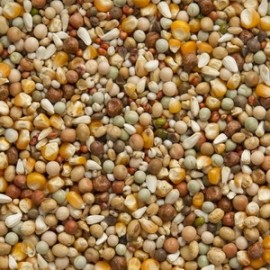 BEYERS POMBOS REPRODUÇÃO PREMIUM - 20KG