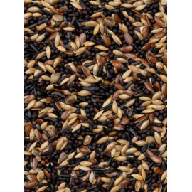 DELI NATURE MISTURA DE LUGRES E PINTASSILGOS - 20 KG