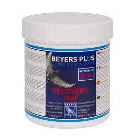 BEYERS RECOVERY PLUS - 600 GR