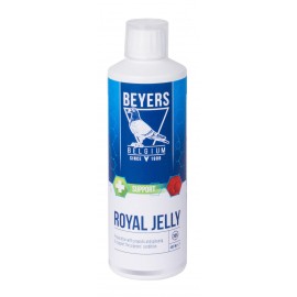 BEYERS GELEIA REAL 400 ML