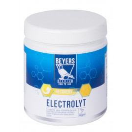 BEYERS ELECTROLYT PLUS 500 GR